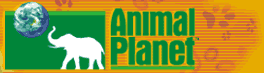 Animal Planet